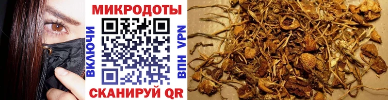 цена наркотик  Наволоки  Галлюциногенные грибы прущие грибы 